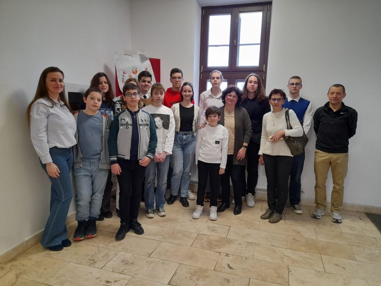 Kimagasló eredmények az Országos Magyar Matematika Olimpia megyei szakaszán
